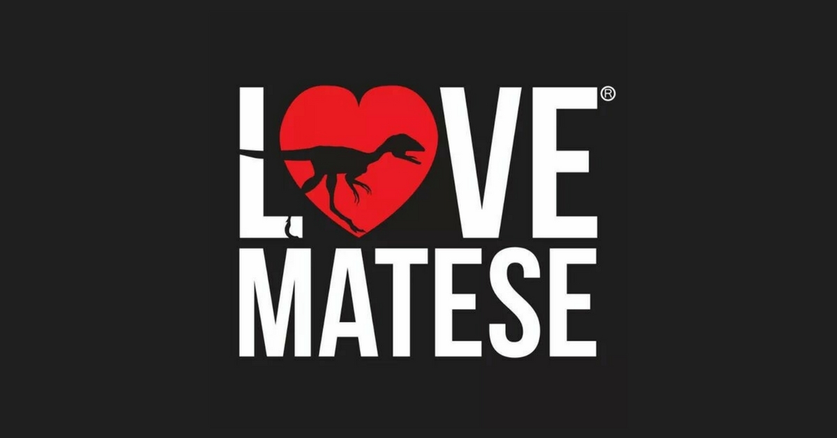 Love Matese